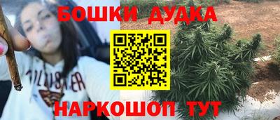 тгк Новозыбков