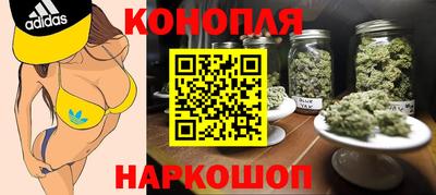 круглые Новодвинск