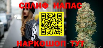 тгк Новозыбков
