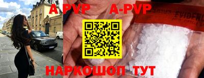 тгк Новозыбков