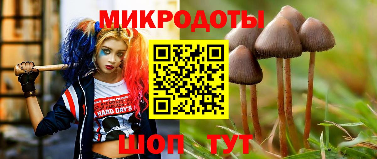 Галлюциногенные грибы Psilocybe Отрадное