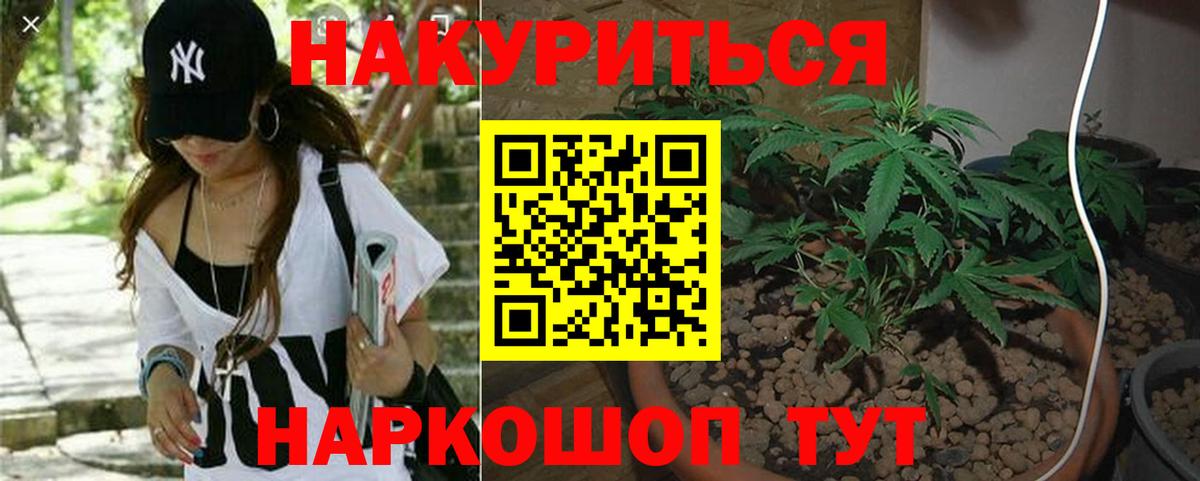 Конопля марихуана  Марихуана гибрид  Каннабис White Widow  Вход с VPN  Каннабис индика  Отрадное 